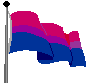 Bisexual Pride Flag